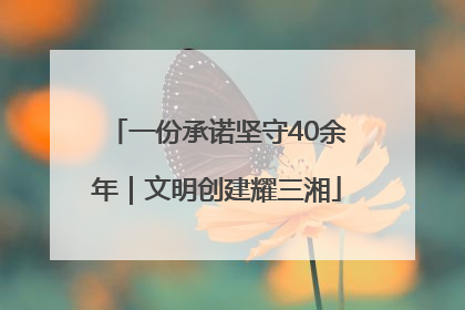 一份承诺坚守40余年｜文明创建耀三湘