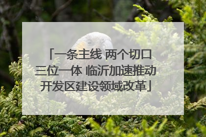 一条主线 两个切口 三位一体 临沂加速推动开发区建设领域改革