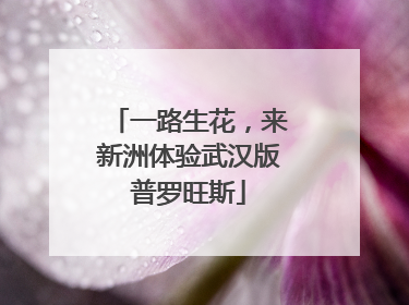 一路生花，来新洲体验武汉版普罗旺斯