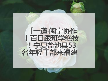 一道·闽宁协作丨百日跟班学绝技！宁夏盐池县53名年轻干部来福建取“真经”