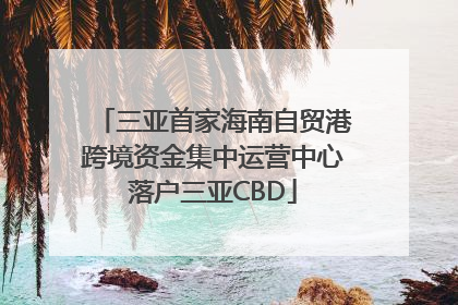 三亚首家海南自贸港跨境资金集中运营中心落户三亚CBD