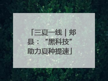 三夏一线｜郏县：“黑科技”助力夏种提速