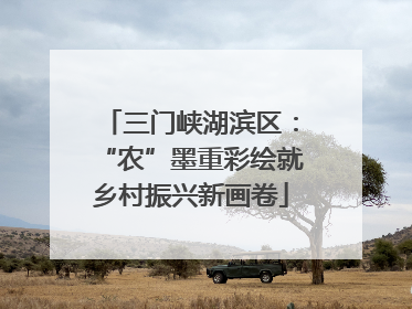 三门峡湖滨区：“农”墨重彩绘就乡村振兴新画卷