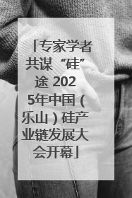 专家学者共谋“硅”途 2025年中国（乐山）硅产业链发展大会开幕