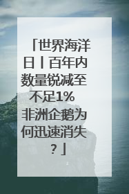 世界海洋日丨百年内数量锐减至不足1% 非洲企鹅为何迅速消失？