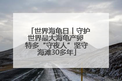 世界海龟日丨守护世界最大海龟产卵 特多“守夜人”坚守海滩30多年