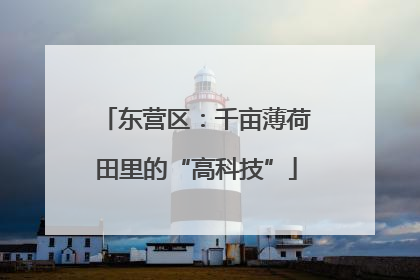 东营区：千亩薄荷田里的“高科技”