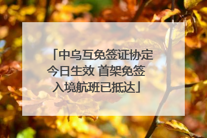中乌互免签证协定今日生效 首架免签入境航班已抵达