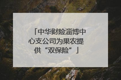 中华财险淄博中心支公司为果农提供“双保险”