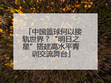 中国篮球何以接轨世界？“明日之星”搭建高水平青训交流舞台