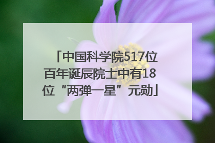 中国科学院517位百年诞辰院士中有18位“两弹一星”元勋