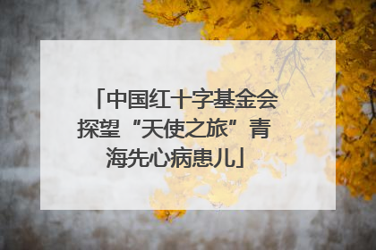 中国红十字基金会探望“天使之旅”青海先心病患儿