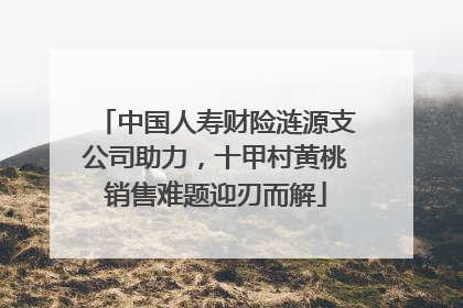 中国人寿财险涟源支公司助力，十甲村黄桃销售难题迎刃而解