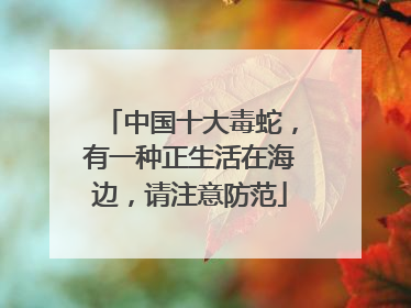 中国十大毒蛇，有一种正生活在海边，请注意防范