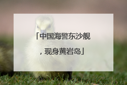 中国海警东沙舰，现身黄岩岛