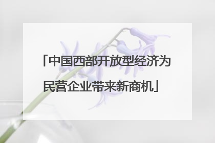 中国西部开放型经济为民营企业带来新商机