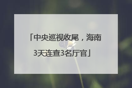 中央巡视收尾，海南3天连查3名厅官