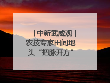 中新武威观｜农技专家田间地头“把脉开方”送“及时雨”