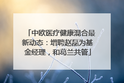 中欧医疗健康混合最新动态：增聘赵磊为基金经理，和葛兰共管
