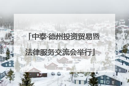 中泰·德州投资贸易暨法律服务交流会举行
