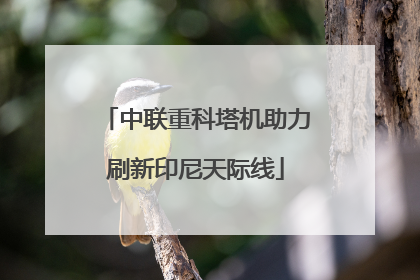 中联重科塔机助力刷新印尼天际线