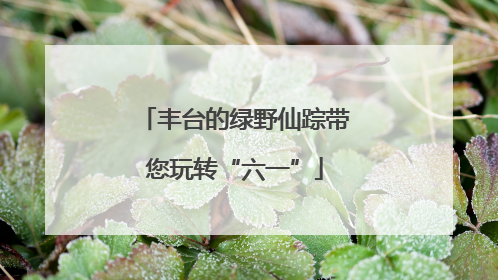 丰台的绿野仙踪带您玩转“六一”