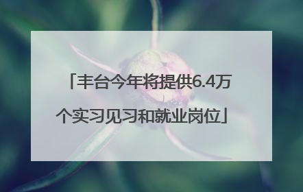 丰台今年将提供6.4万个实习见习和就业岗位