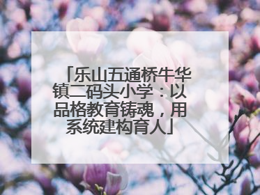 乐山五通桥牛华镇二码头小学：以品格教育铸魂，用系统建构育人