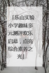 乐山实验小学趣味多元测评欢乐启幕，点亮综合素养之光