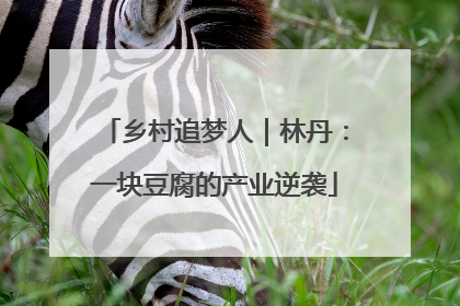 乡村追梦人｜林丹：一块豆腐的产业逆袭