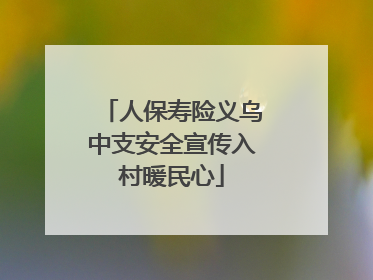 人保寿险义乌中支安全宣传入村暖民心