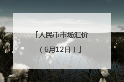 人民币市场汇价（6月12日）