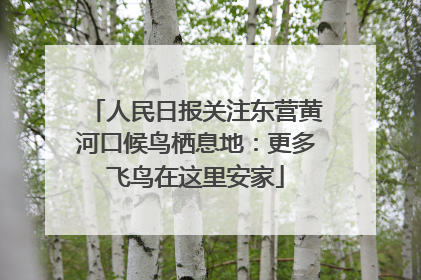 人民日报关注东营黄河口候鸟栖息地：更多飞鸟在这里安家