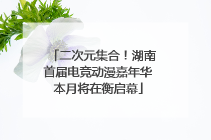 二次元集合！湖南首届电竞动漫嘉年华本月将在衡启幕