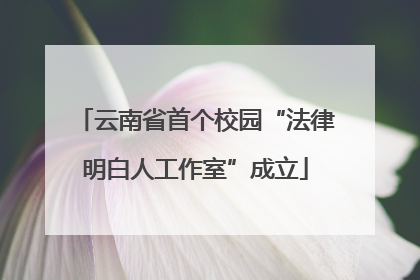 云南省首个校园“法律明白人工作室”成立