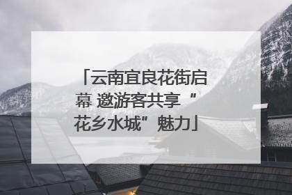 云南宜良花街启幕 邀游客共享“花乡水城”魅力