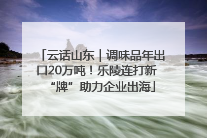 云话山东｜调味品年出口20万吨！乐陵连打新“牌”助力企业出海