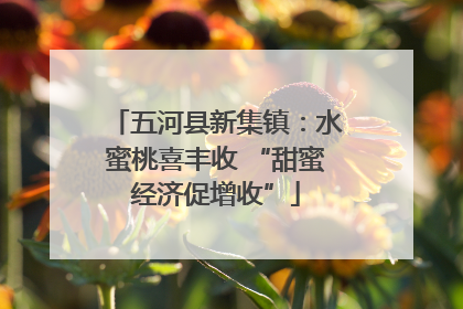 五河县新集镇：水蜜桃喜丰收 “甜蜜经济促增收”