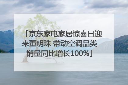京东家电家居惊喜日迎来董明珠 带动空调品类销量同比增长100%
