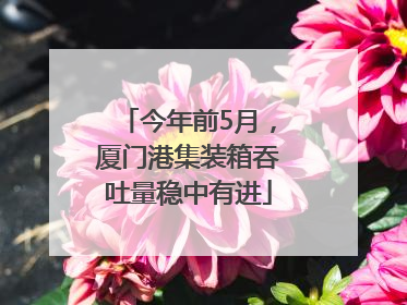 今年前5月，厦门港集装箱吞吐量稳中有进