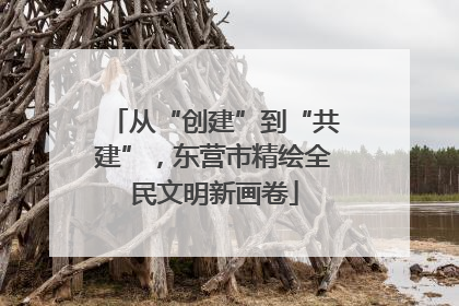 从“创建”到“共建”，东营市精绘全民文明新画卷