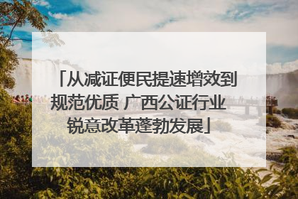 从减证便民提速增效到规范优质 广西公证行业锐意改革蓬勃发展
