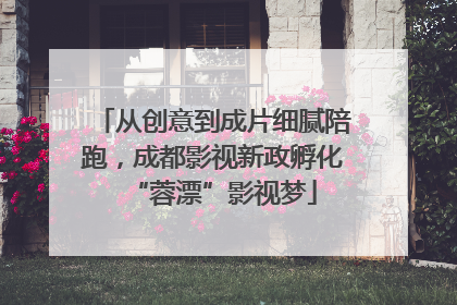 从创意到成片细腻陪跑，成都影视新政孵化“蓉漂”影视梦