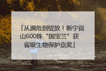 从濒危到绽放！新宁崀山600株“国宝兰”获省级生物保护嘉奖