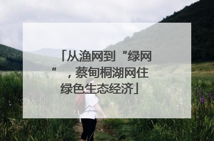 从渔网到“绿网”，蔡甸桐湖网住绿色生态经济