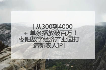 从300到4000+ 单条播放破百万！枣阳数字经济产业园打造新农人IP