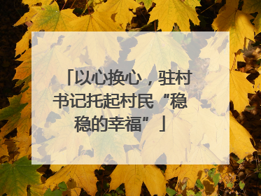 以心换心，驻村书记托起村民“稳稳的幸福”