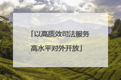 以高质效司法服务高水平对外开放