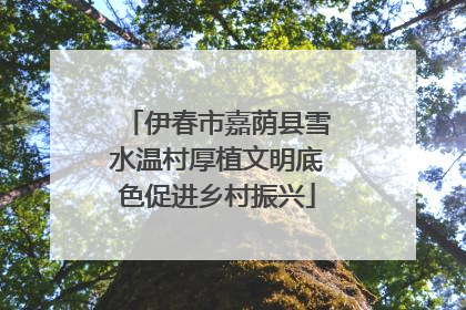 伊春市嘉荫县雪水温村厚植文明底色促进乡村振兴