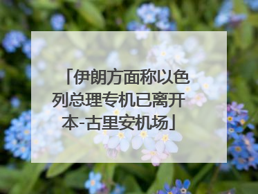 伊朗方面称以色列总理专机已离开本-古里安机场